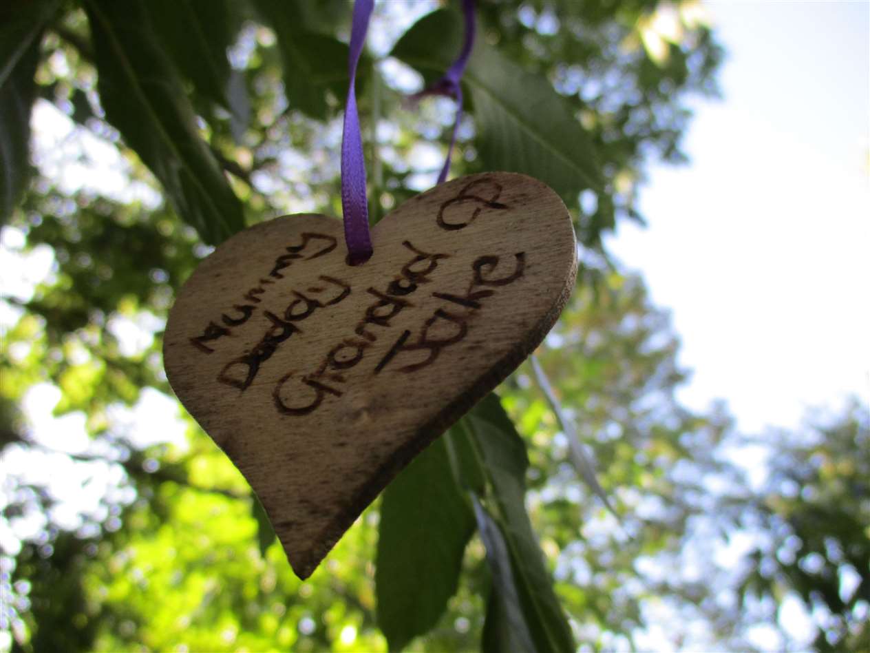 The Memory Tree in the Don't Lose Hope garden