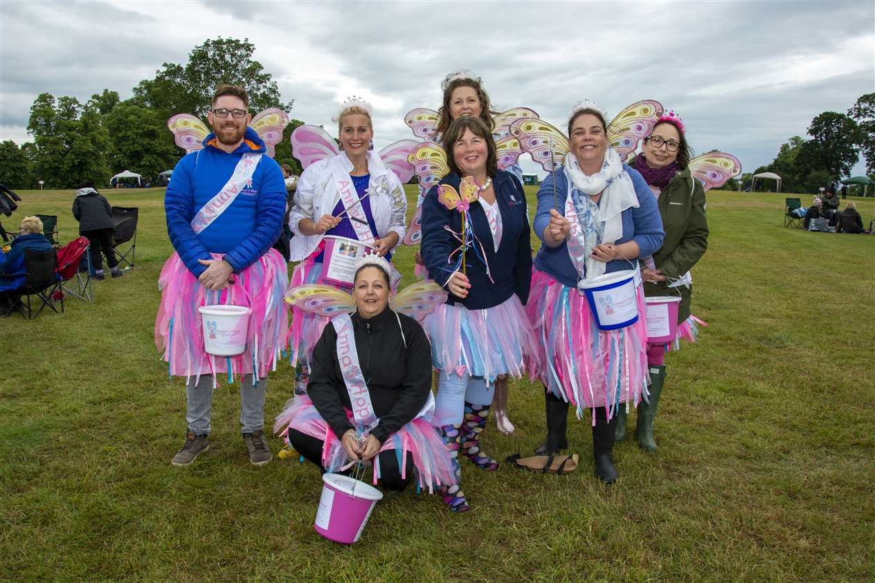 The charity fairies (12067578)