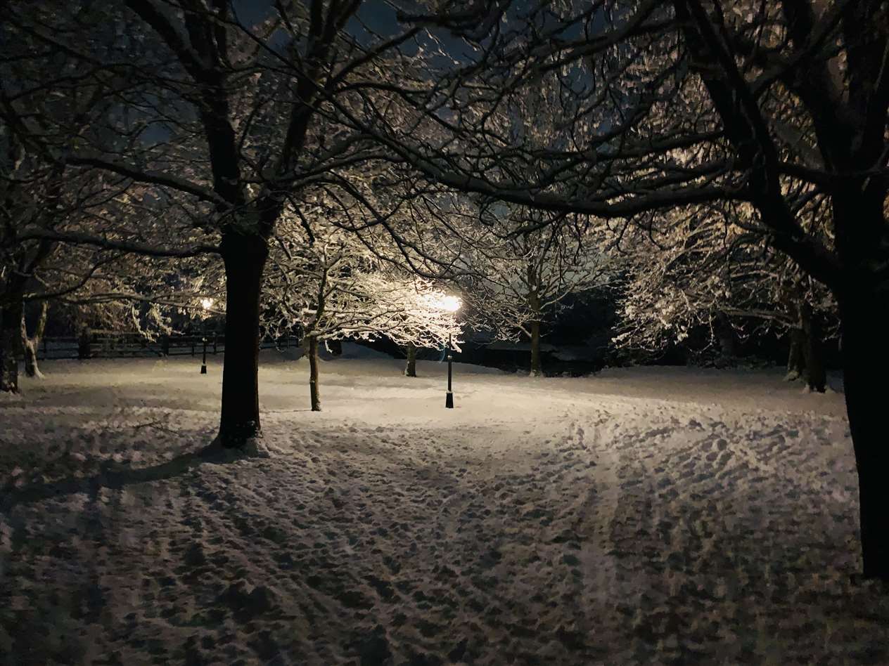 Chris O'Regan took this photo in Stamford (44086996)