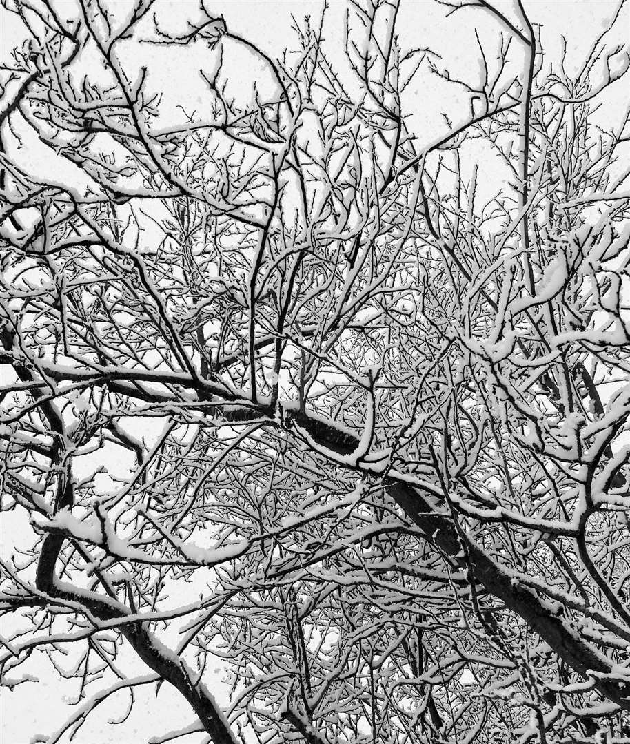 Harriet McBain Allan took this photo in Ketton (44086981)