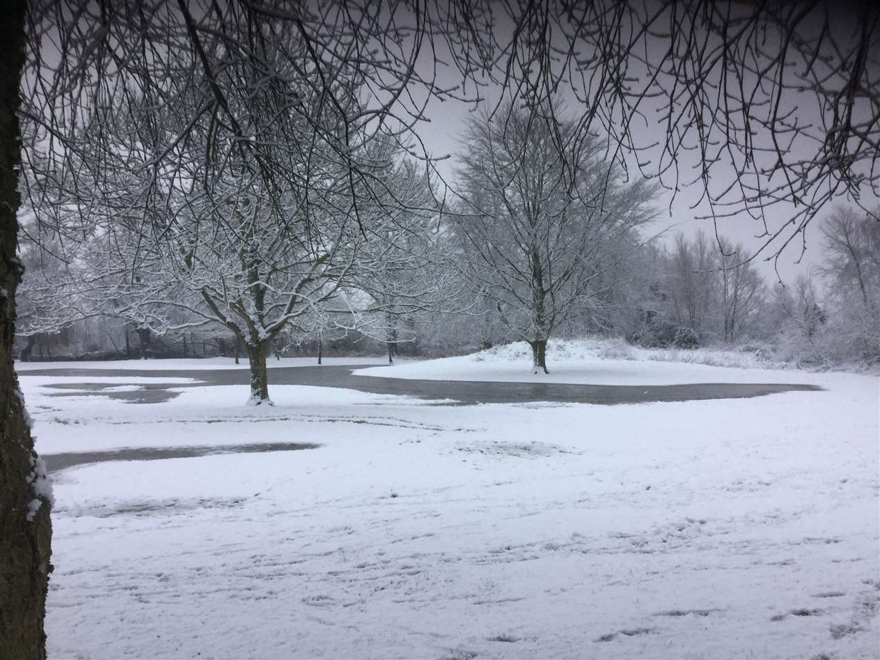 Helen Powell took this photo in Bourne (44086833)