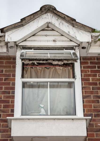 Mould at home of Anna Masterston in Potters Close, Bourne