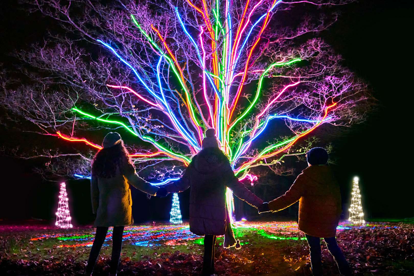 BH Neon Tree by Culture Creative, My Christmas Trails 2020. Photo by Richard Haughton © Sony Music. (48581175)