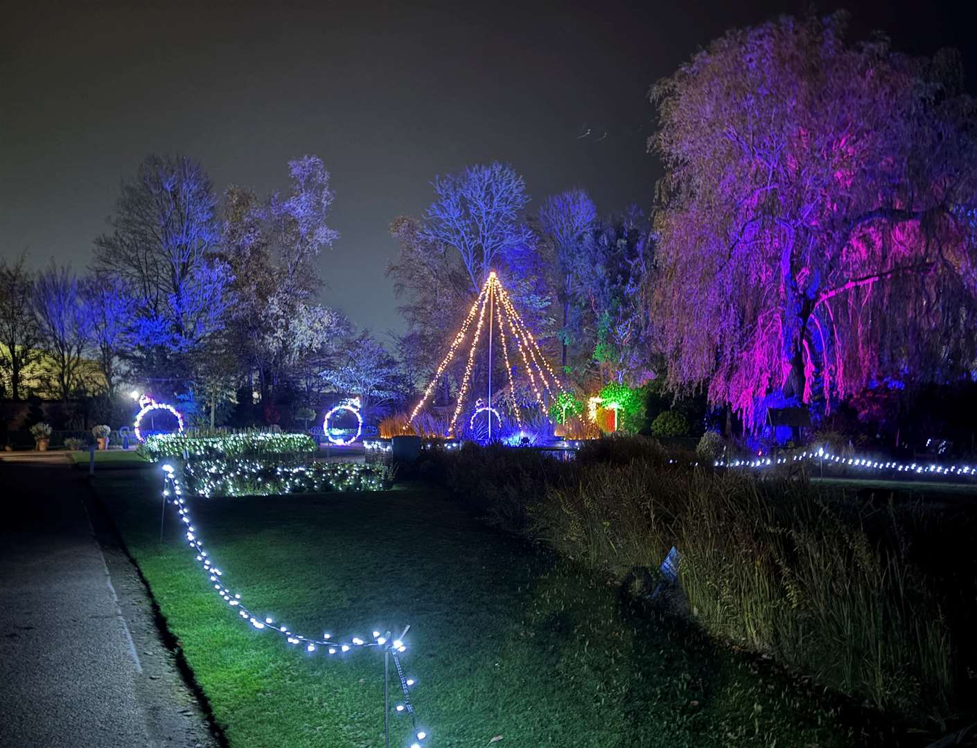 The Winter Wonderland Walk is set in Springfields' Festival Gardens. Photo: Lorna O'Dwyer