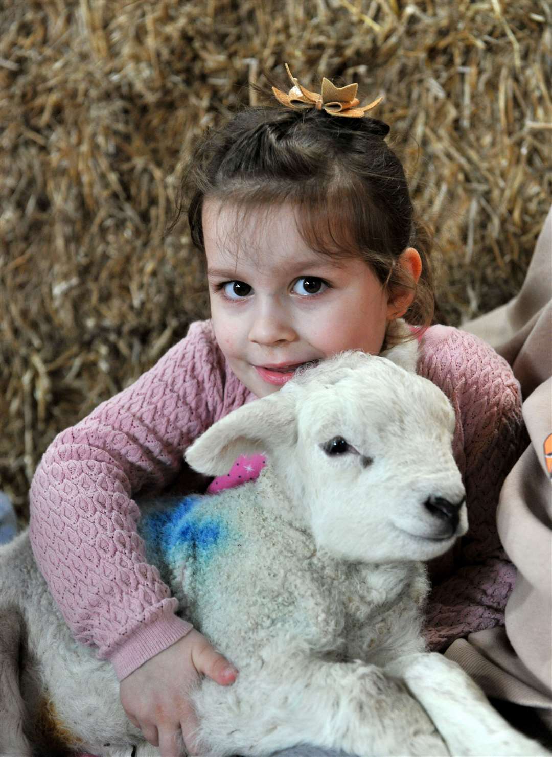 Ella-May Markham, 4, clutches a contented-looking fluffy newborn