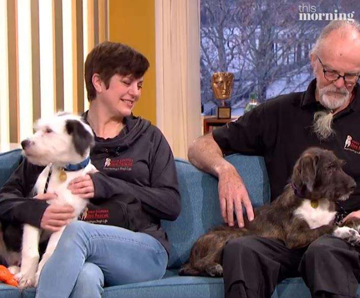 Three Counties Dog Rescue volunteers Claire and Teryl appeared on ITV's This Morning with dogs up for adoption Photo: ITV