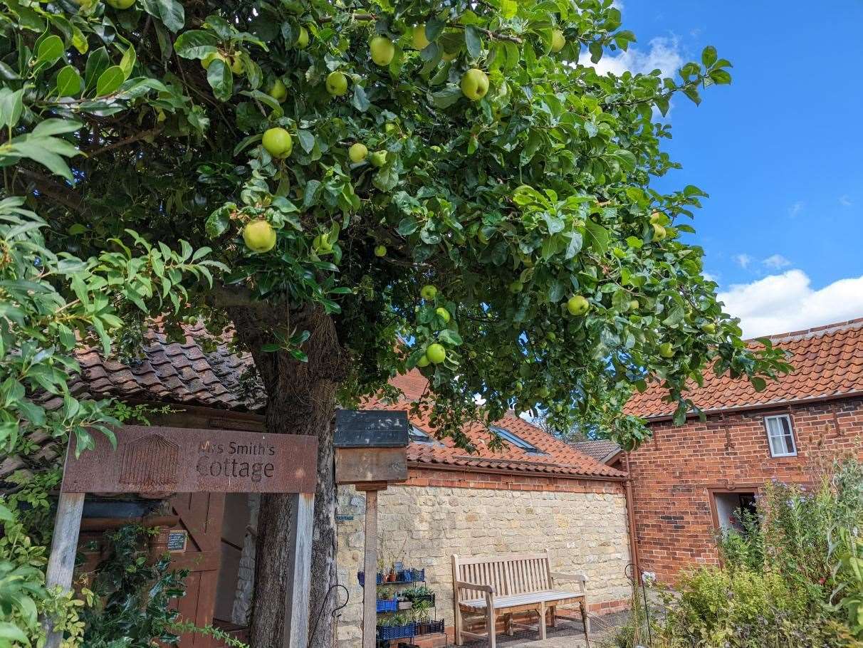 Mrs Smith's Cottage, in Navenby