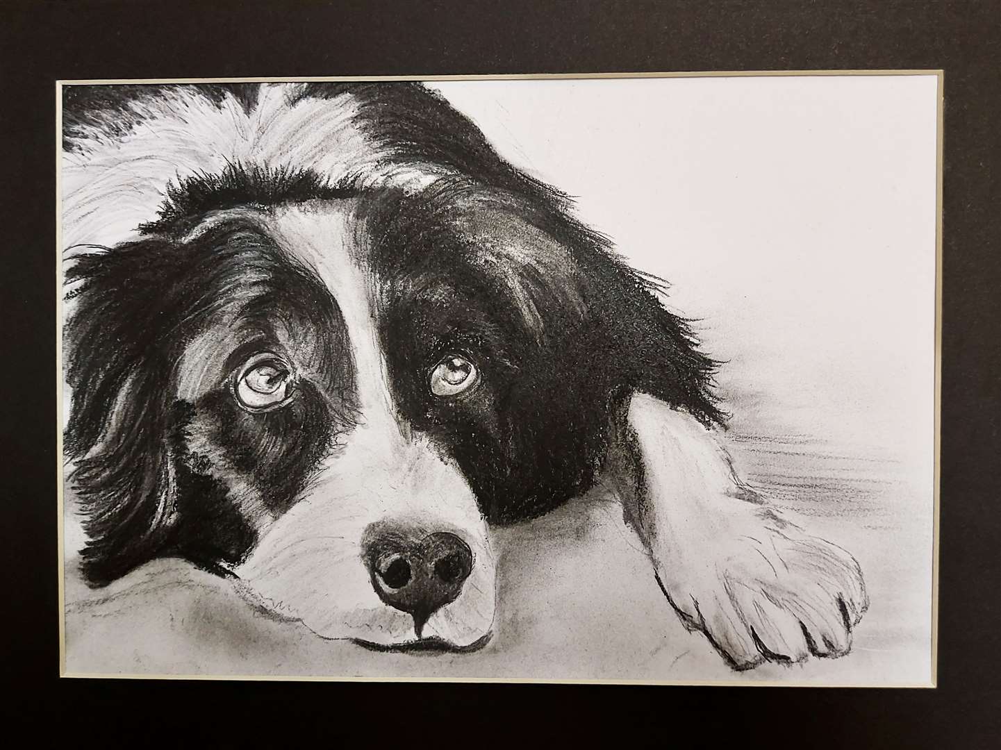 The winning piece from the winter exhibition, Boarder Collie by Gail Birley.