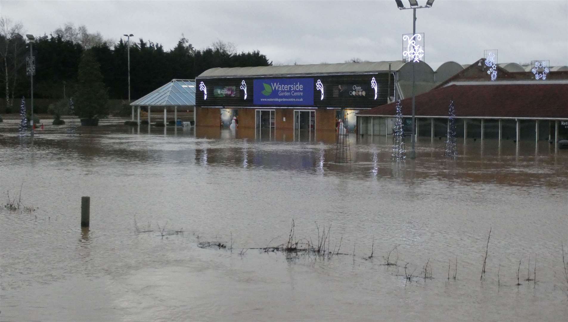 The scene at Waterside Garden Centre last January. Photo: Robin Jones
