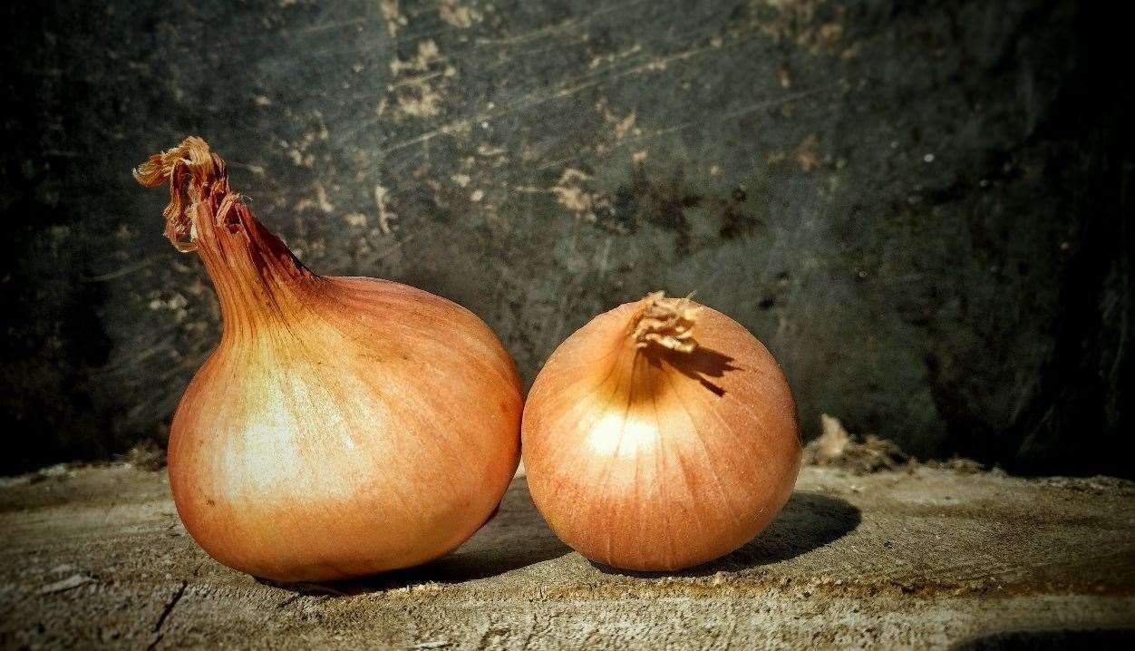Moulton Bulb Company provides 750 tonnes on onions to Aldi