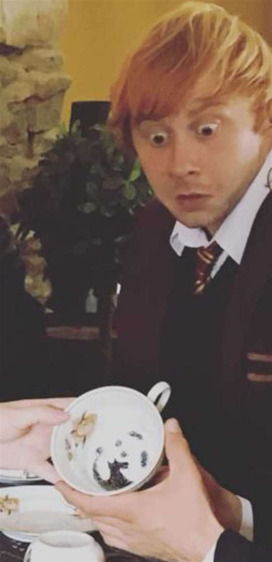 Is it Ron Weasley or Lewis Parker?