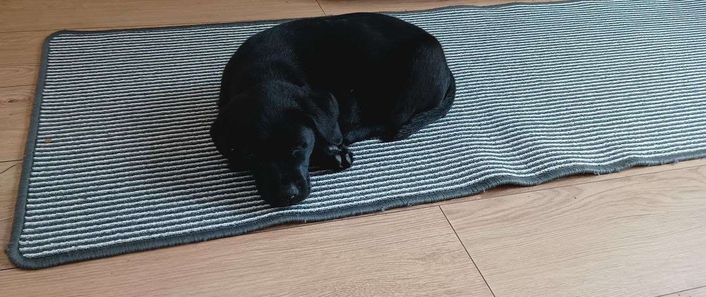 A younger Rita takes a snooze...