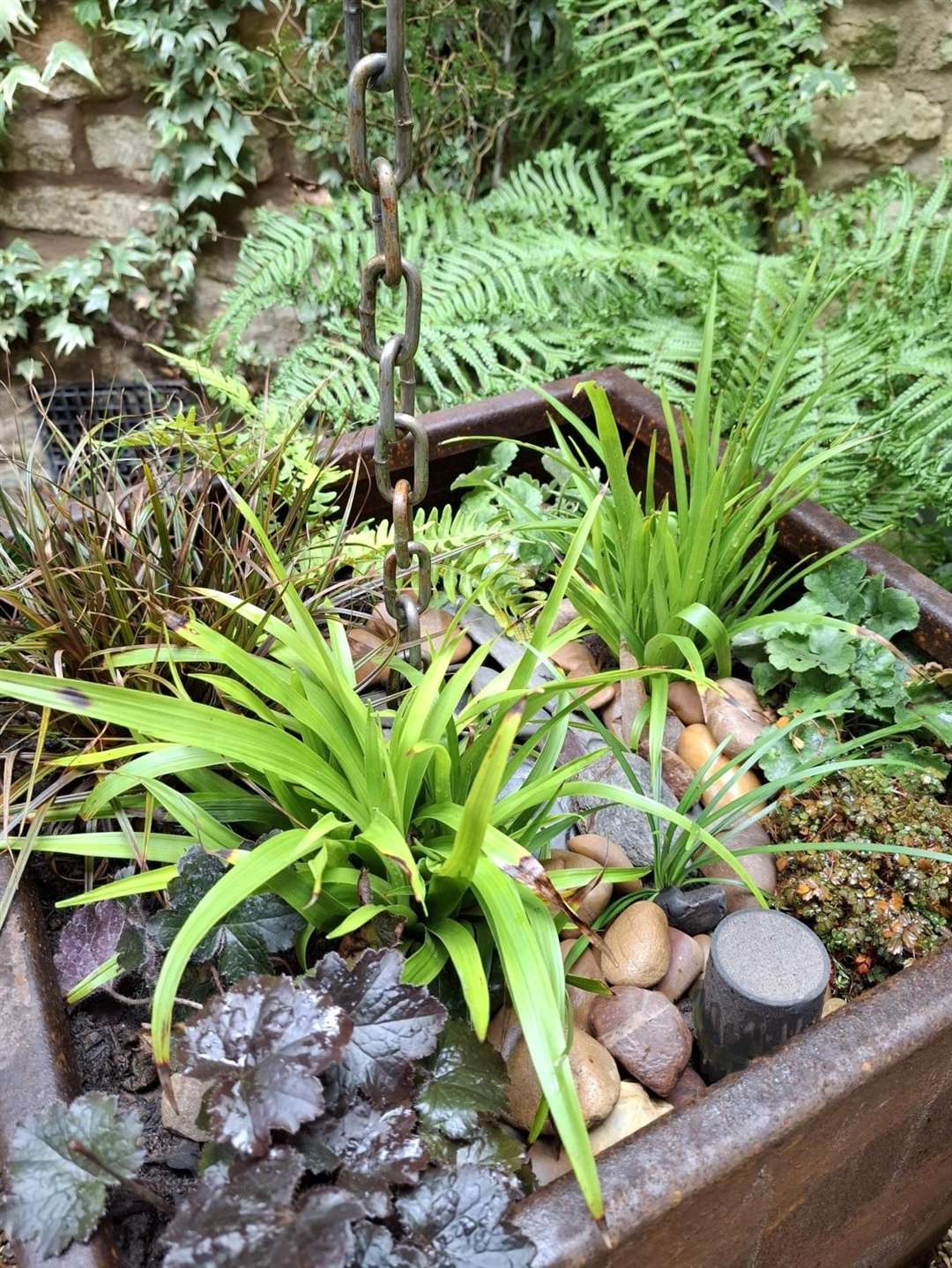 Choosing the right plants can help to make a garden more sustainable