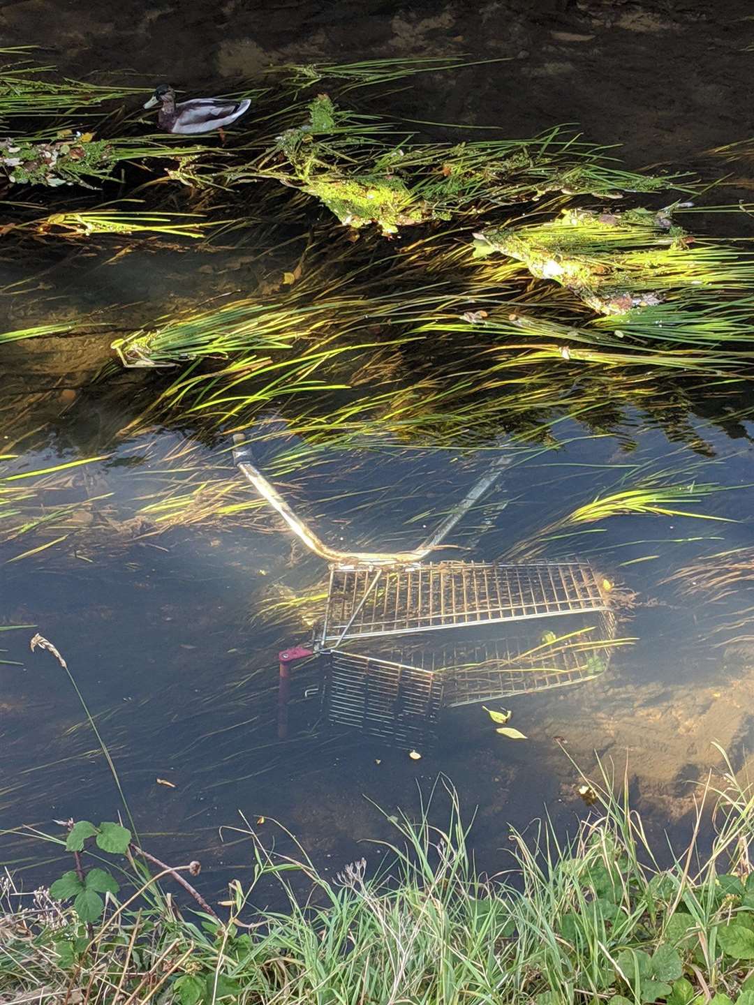 Rivercare. (18094249)