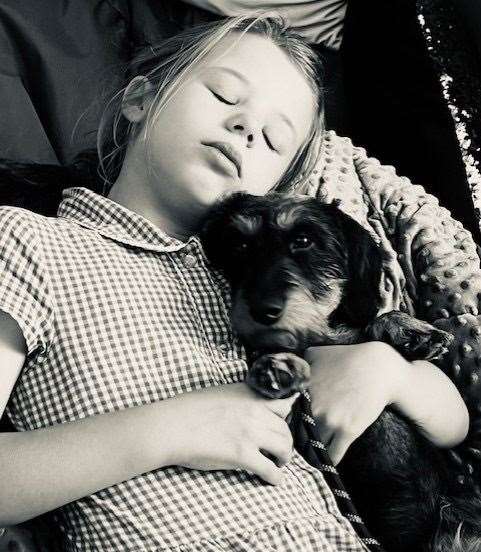 A pupil at St Augustine's Primary School spends some quiet time with Baxter the nurture dog