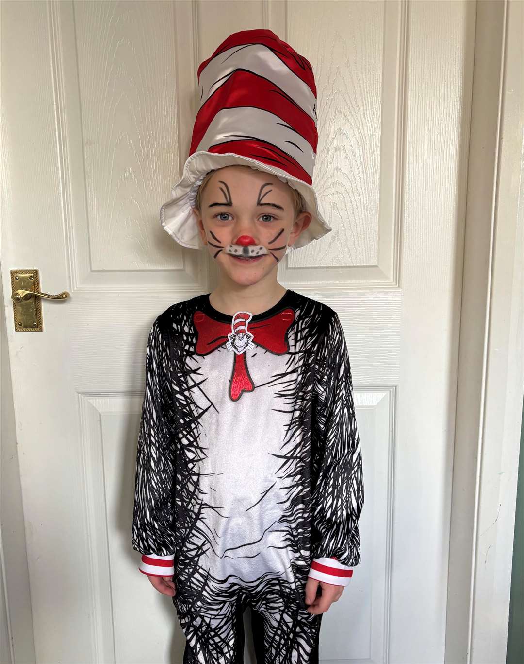 Alex Tupper as Cat in the Hat from Cliffedale Primary School in Grantham