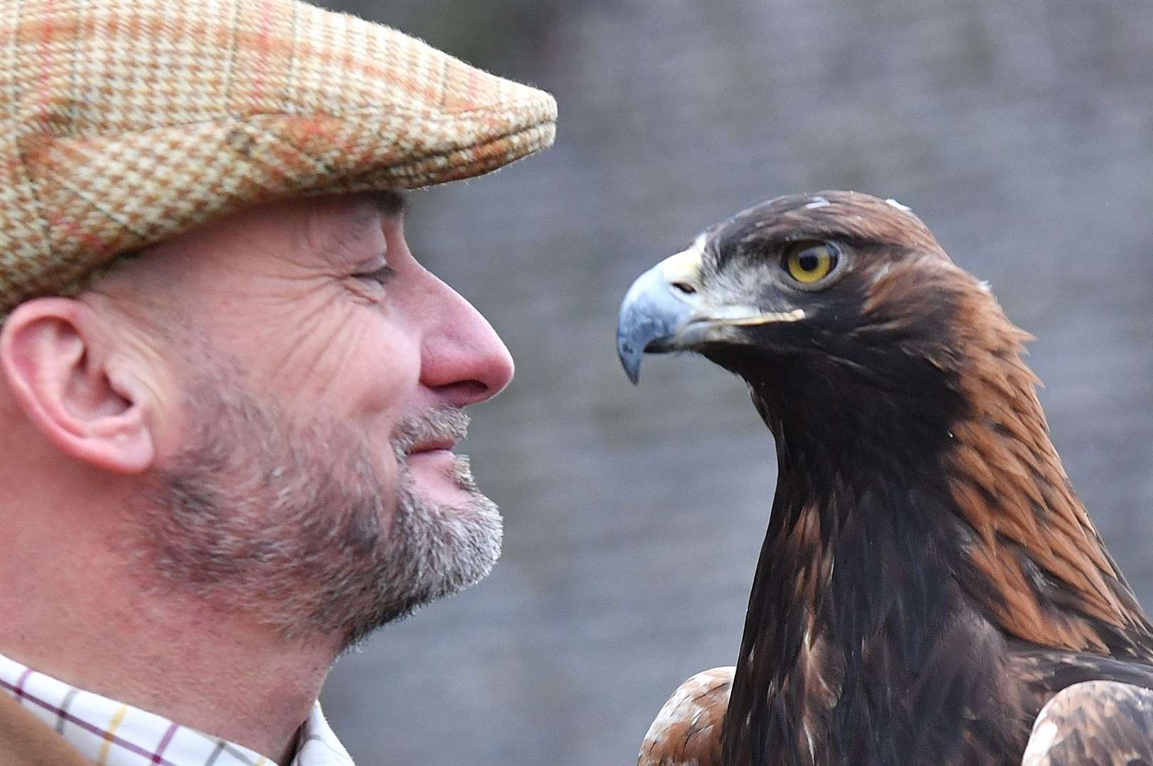 Falconer John Mease with his eagle. Photo: David Lowndes