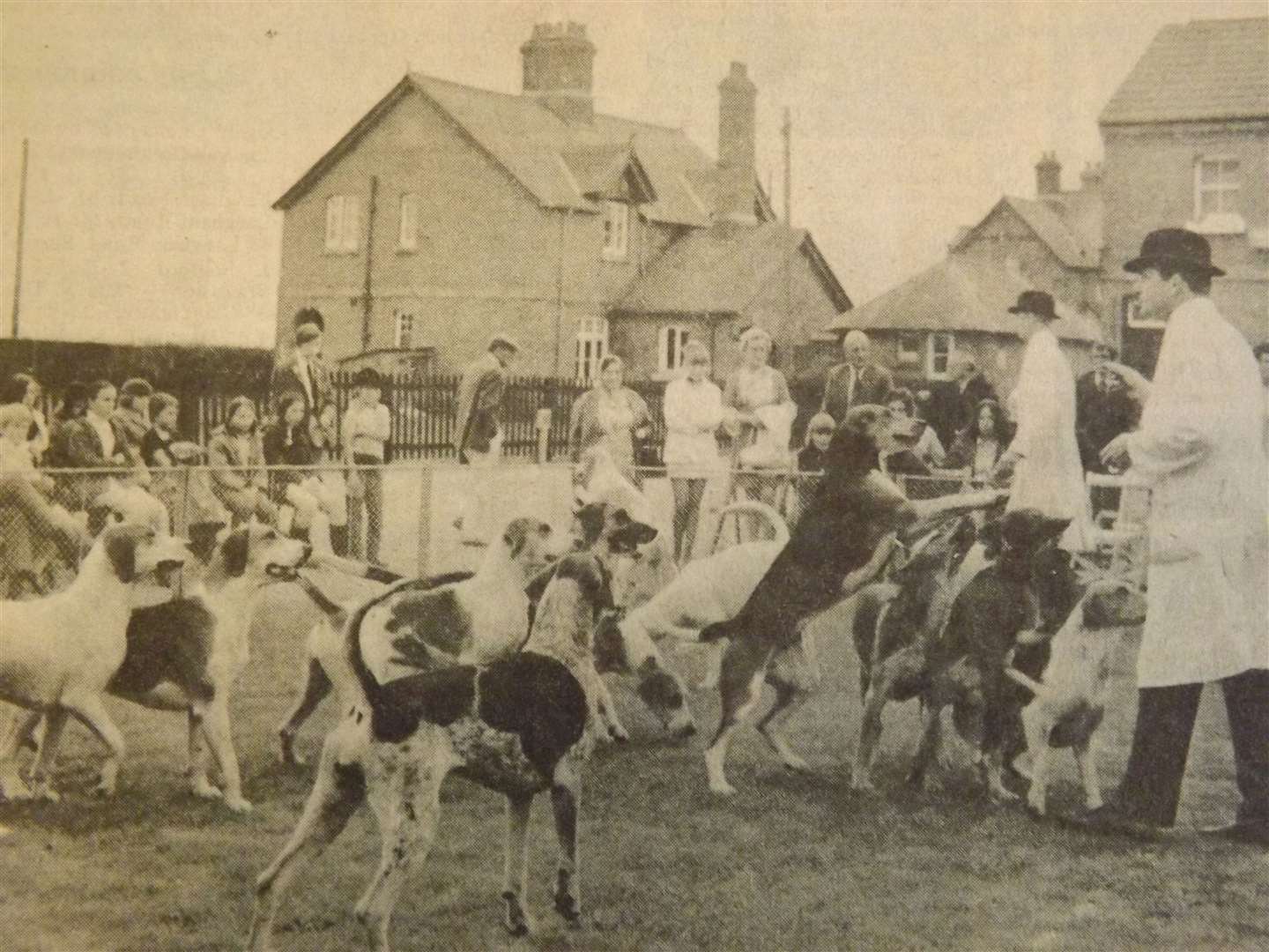 50 years ago: July 20, 1973 – An open day at the Cottesmore Hunt kennels gave visitors an opportunity of seeing behind the scenes at the headquarters of one of the country's most famous hunts on Saturday.