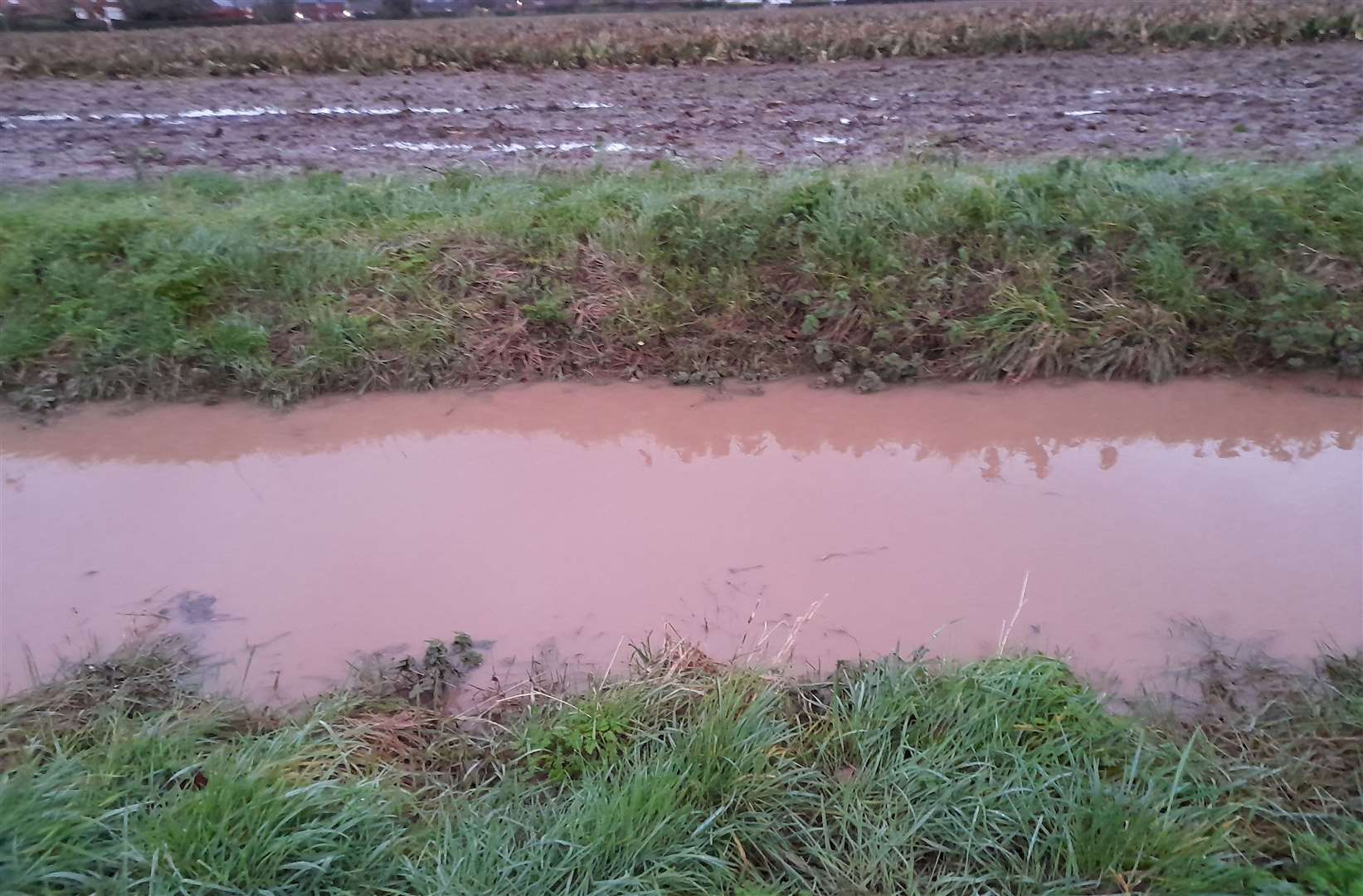A full drainage ditch in the Fleet area of Lincolnshire