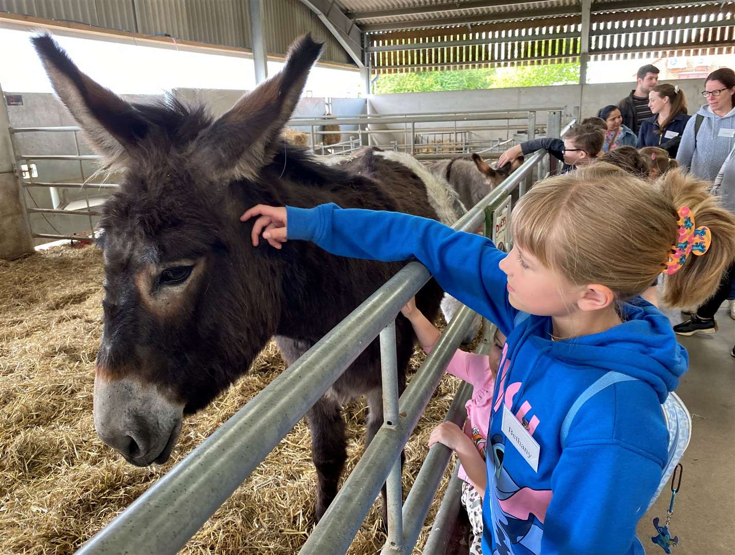 The children meeting the animals at Rand Farm Park.