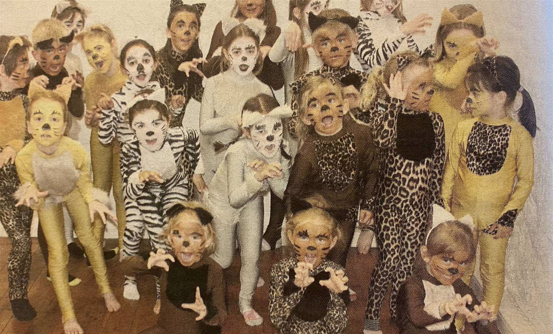 Wildcats from Wildcats Academy 10 years ago.