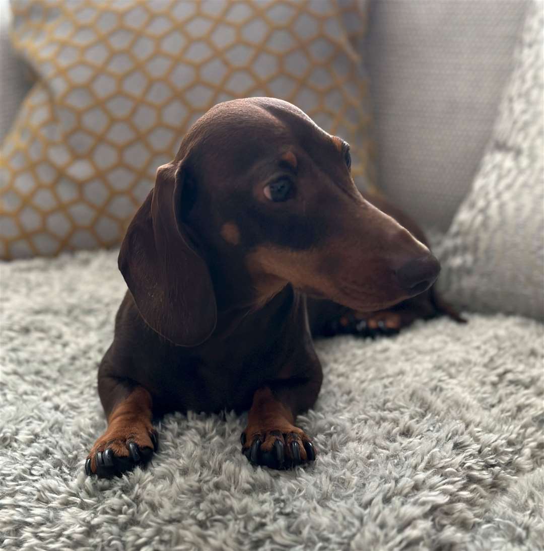 Franko