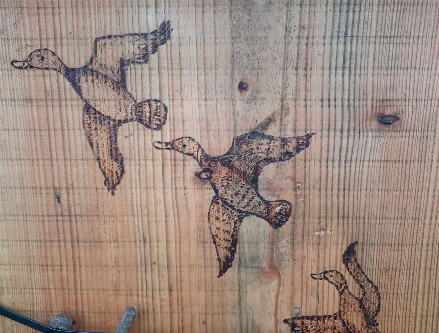The unveiling of the 'perch here' project will take place this weekend