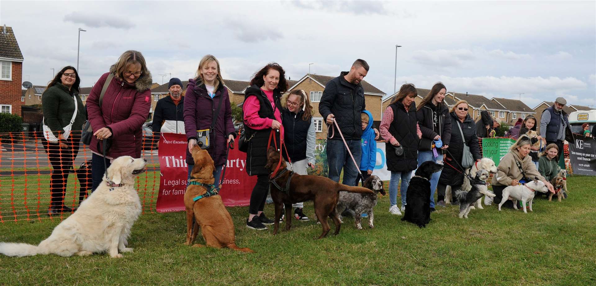 Dogs battle it out in the golden oldies category