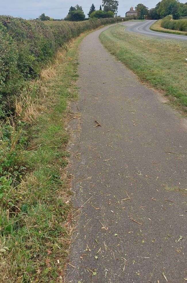 The hedgerow cuttings left on the Ryhall Road cycleway has sparked a council review of how it responds to similar reports