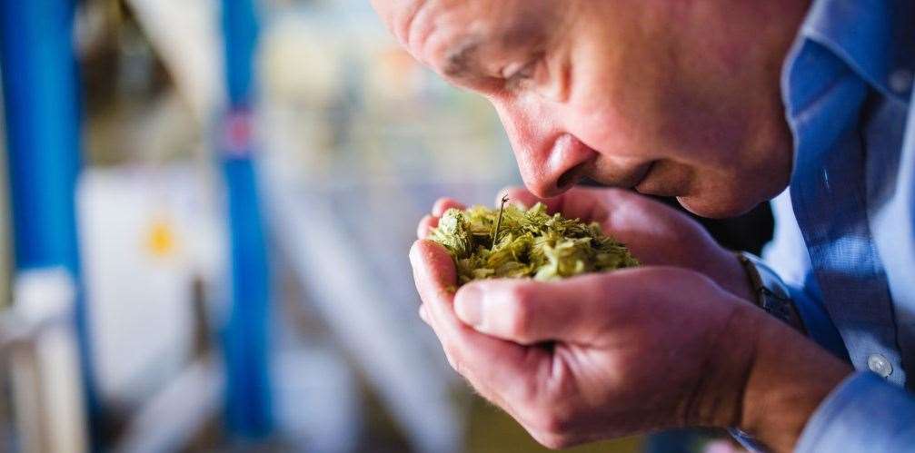 Lincolnshire's Bateman's Brewery is celebrating its 150th anniversary Photo: BATEMANS BREWERY
