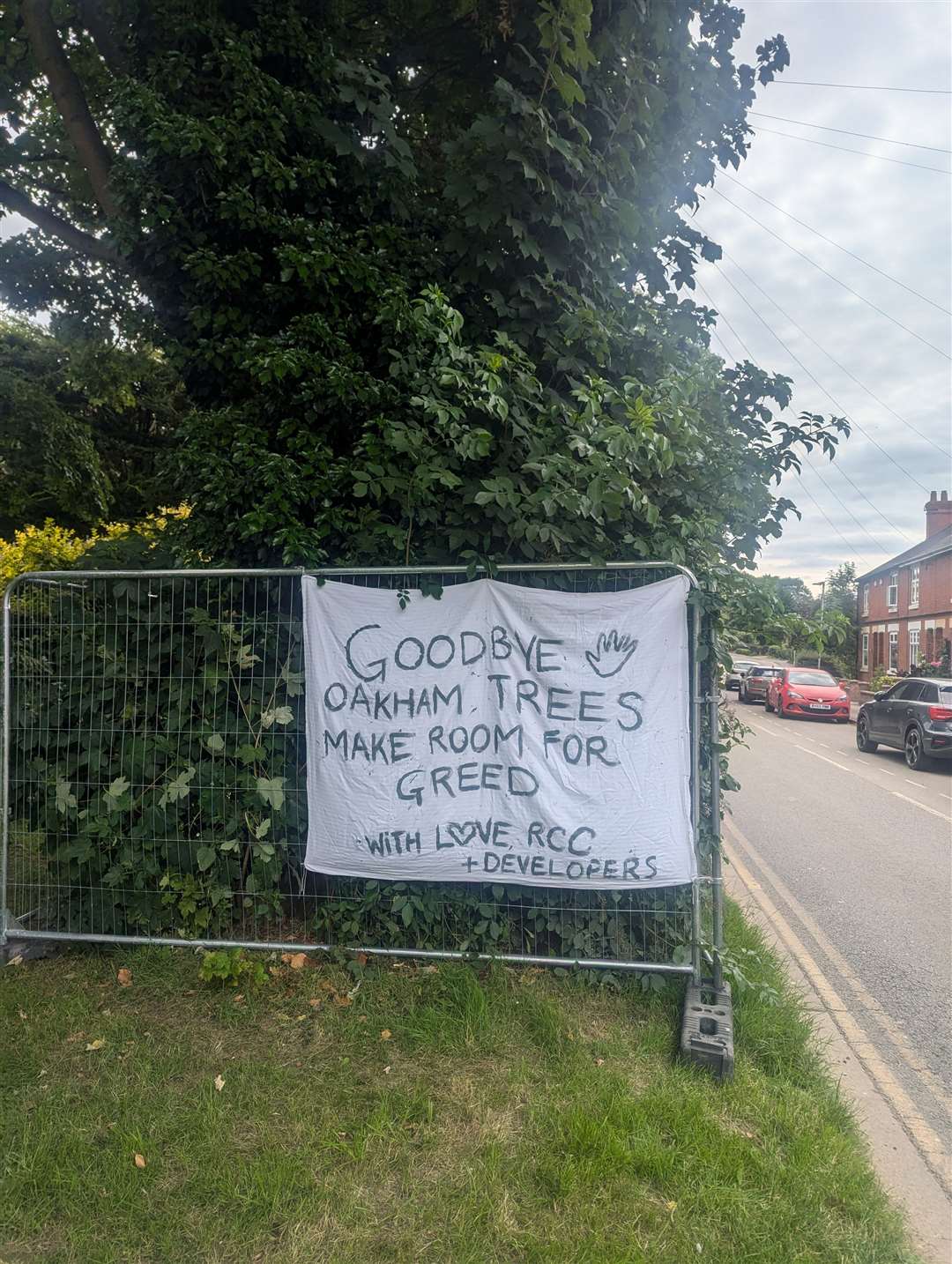 Residents are trying to save the trees