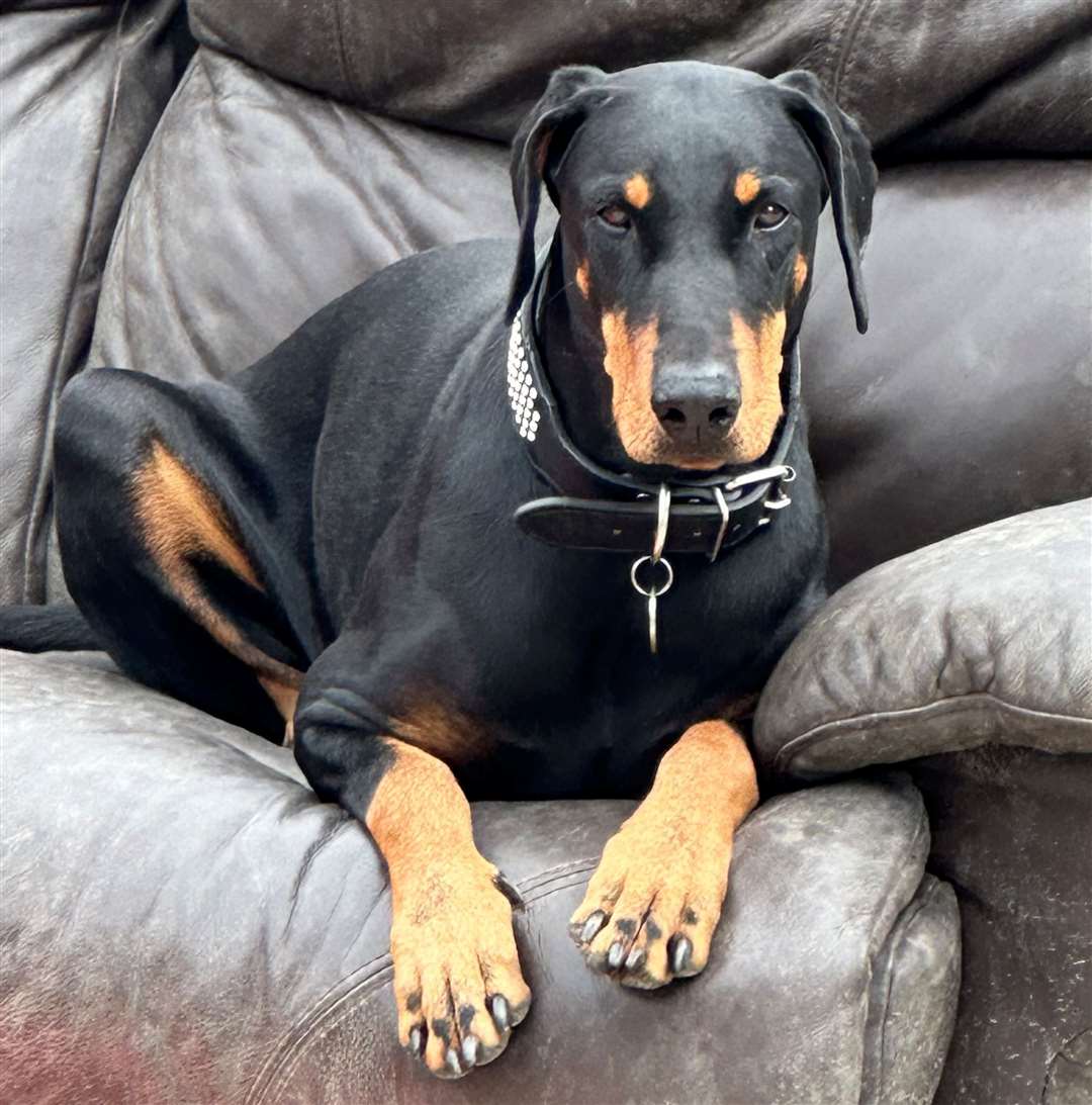 Jax