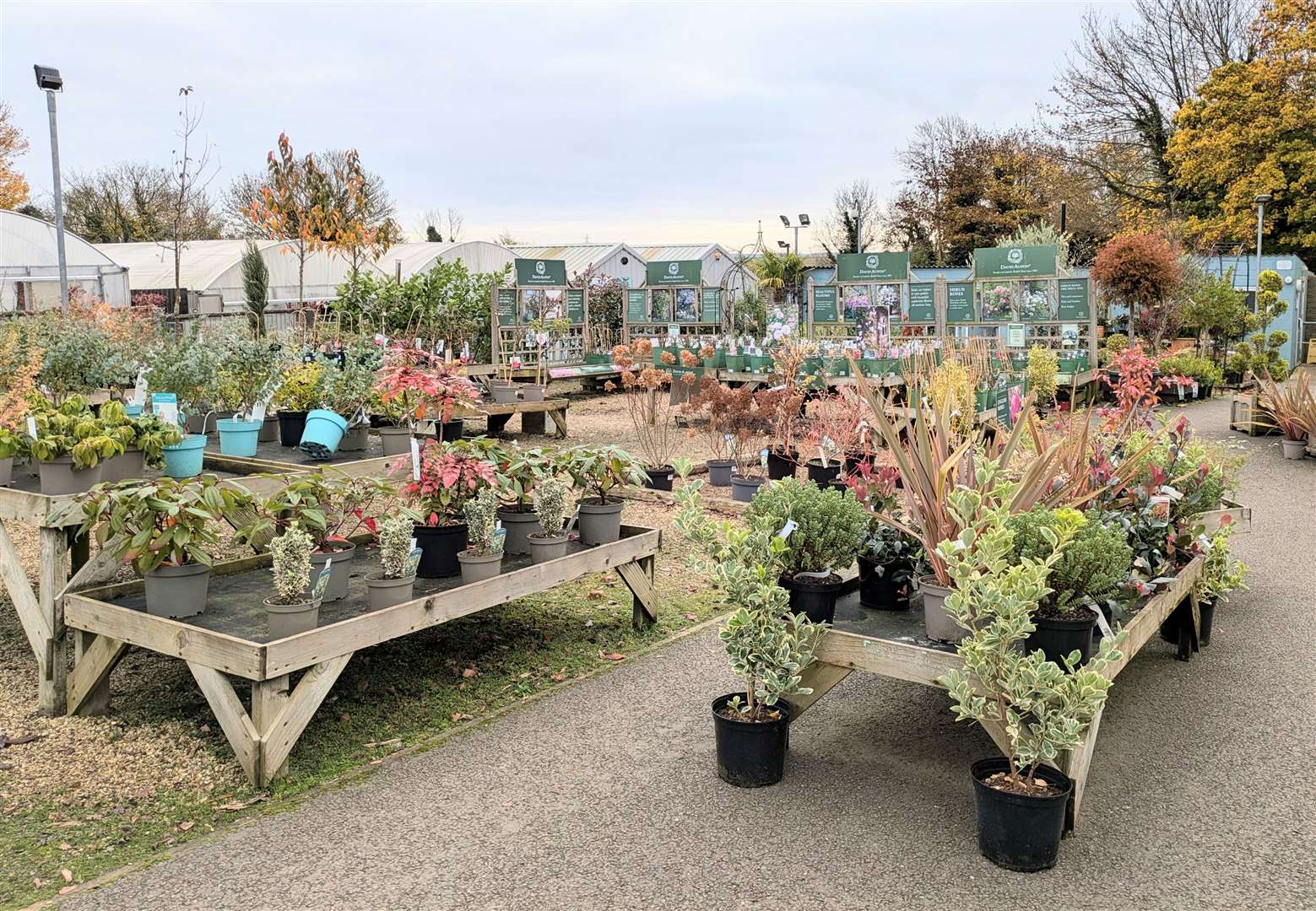 The garden centre has kept its traditional roots.