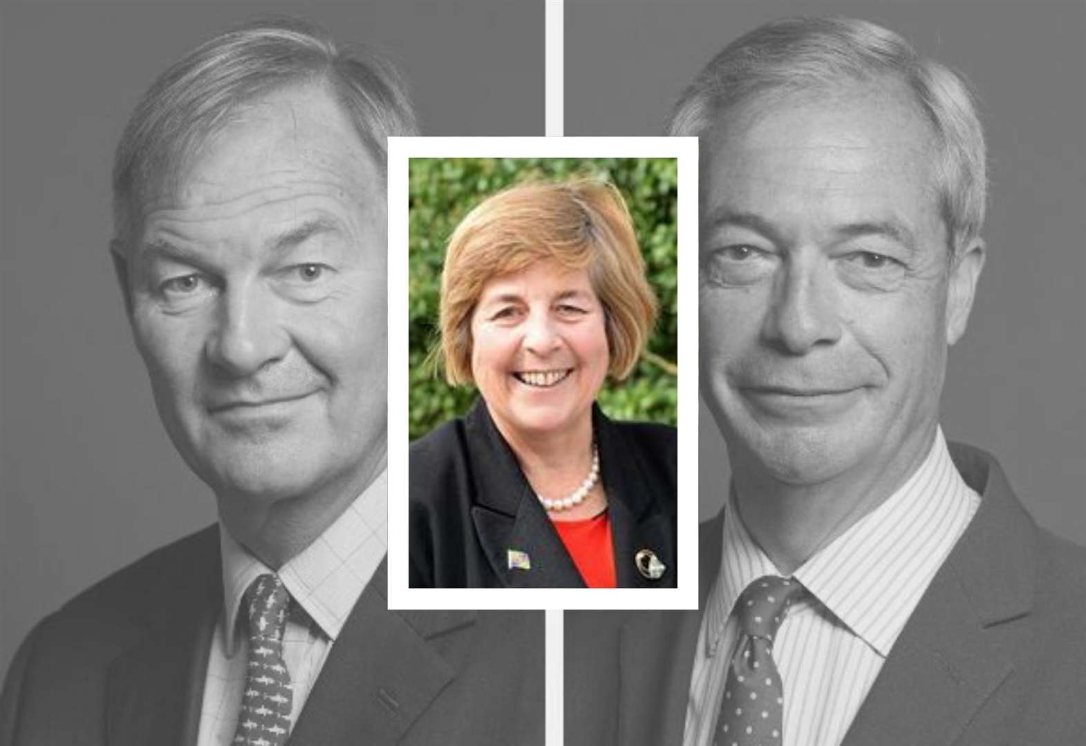 Councillor Rosemary Trollope-Bellew has quit Reform UK after a fortnight, blaming the falling out between MPs Nigel Farage and Rupert Lowe