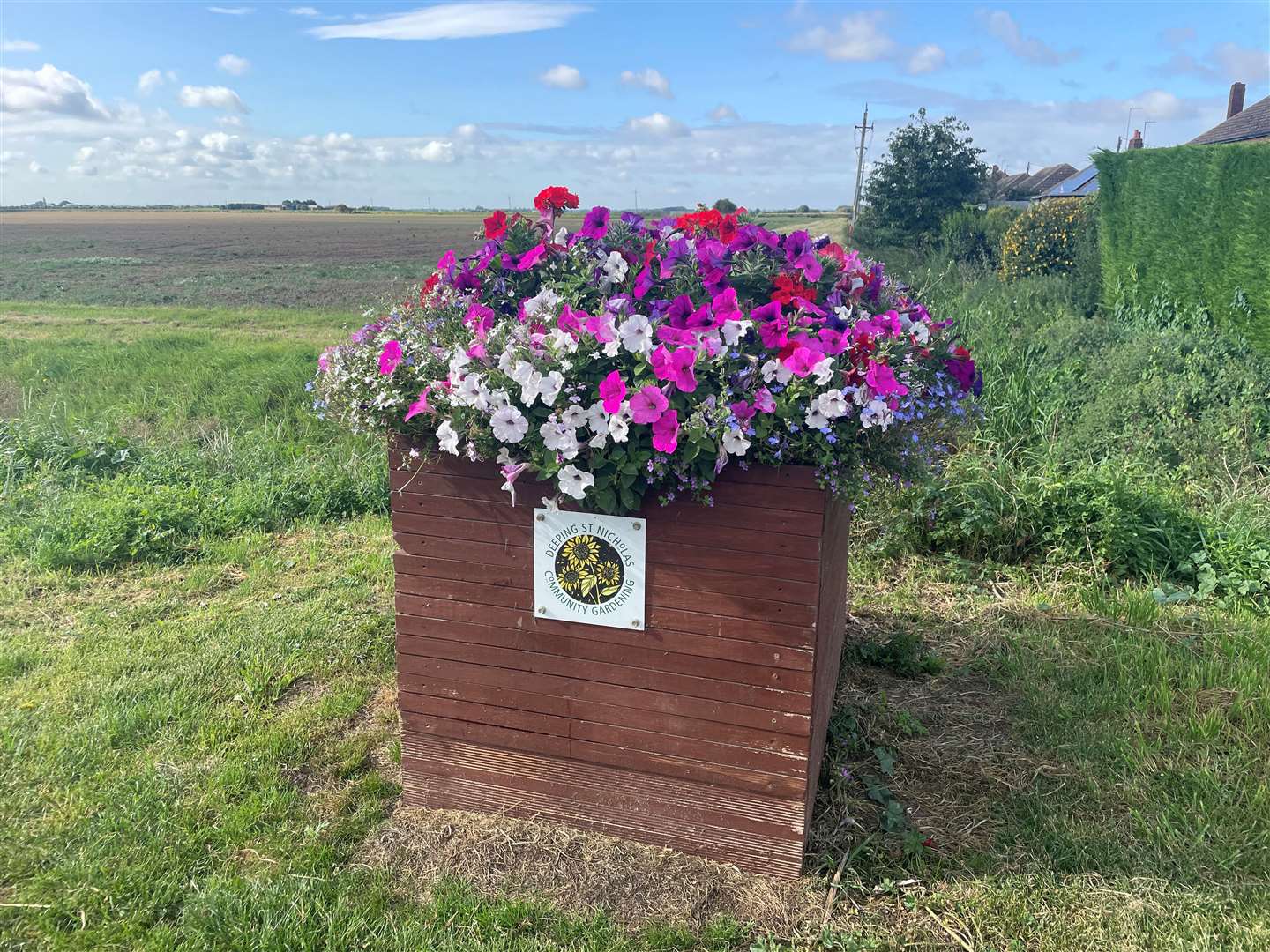 Planters have been placed around the village