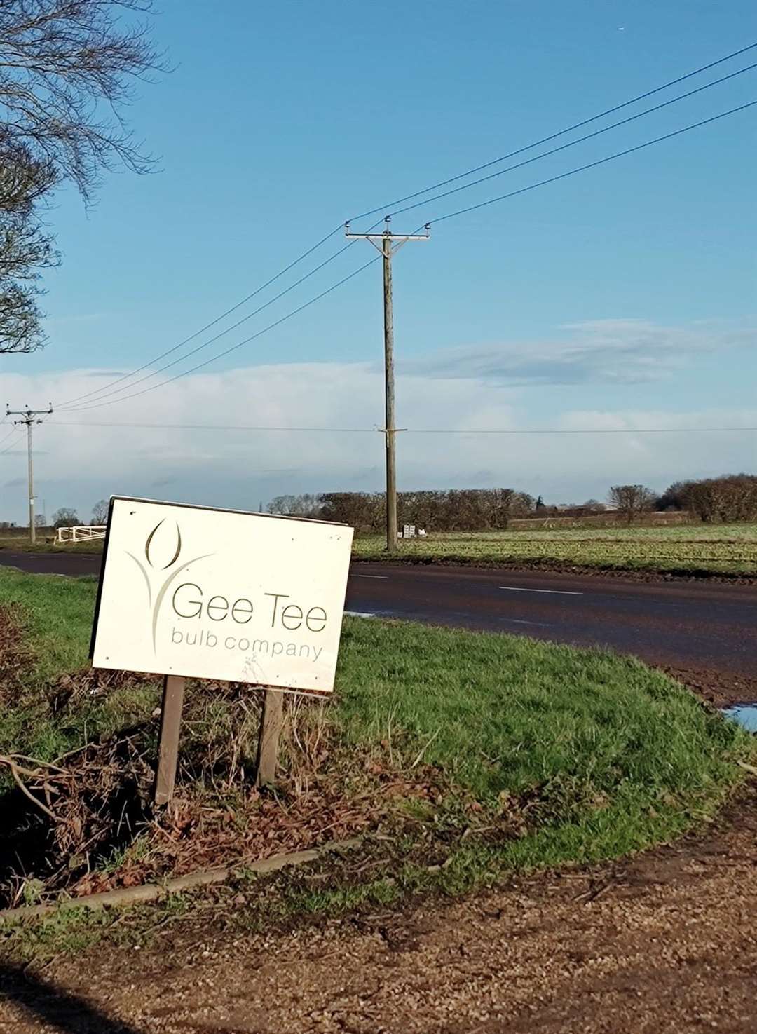 Gee Tee Bulb Company, Moulton Seas End. PHOTO: SUBMITTED