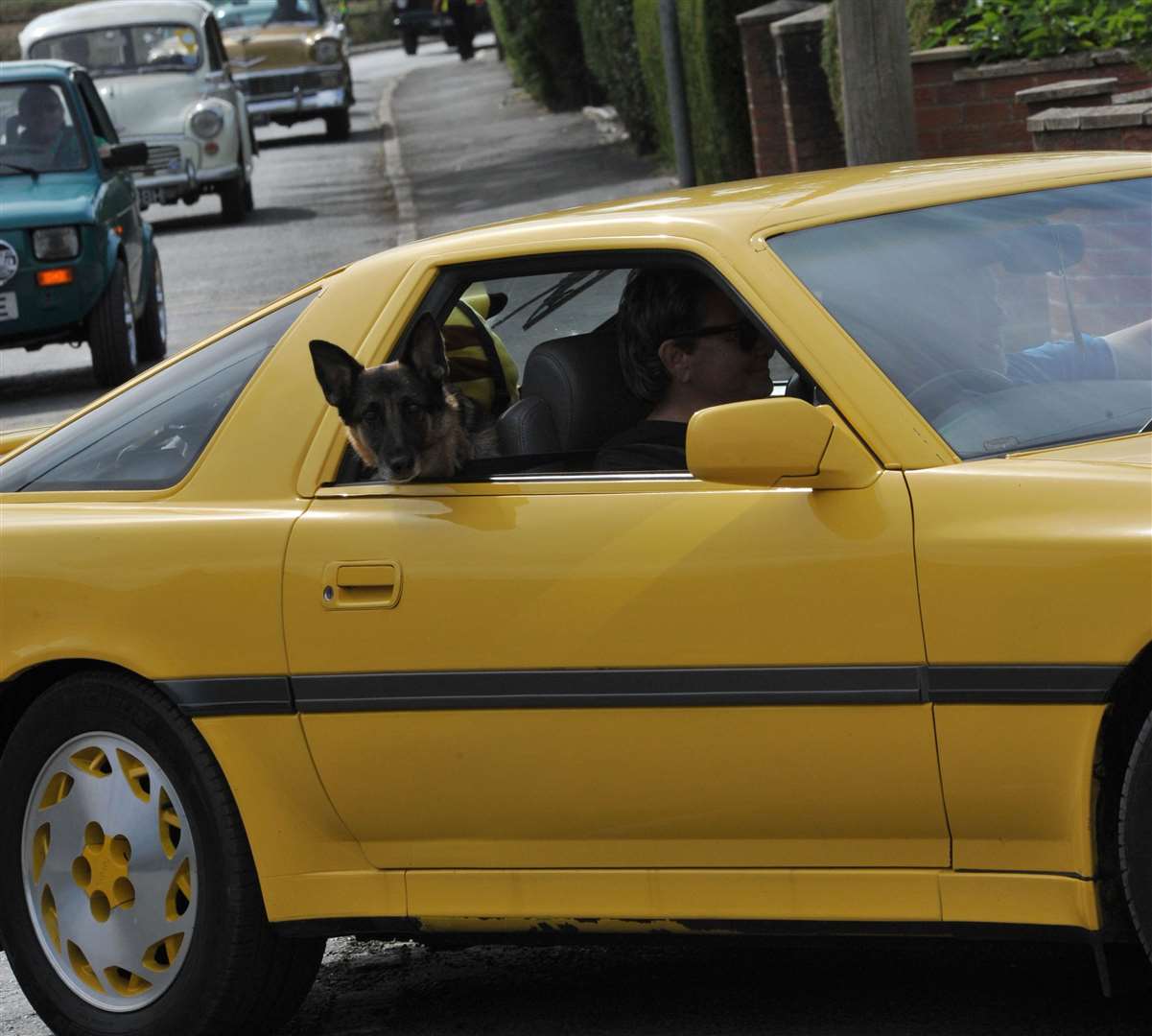 A ride fit for a pup