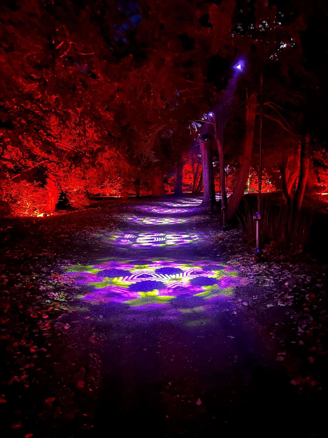 Kaleido carpet was groovy