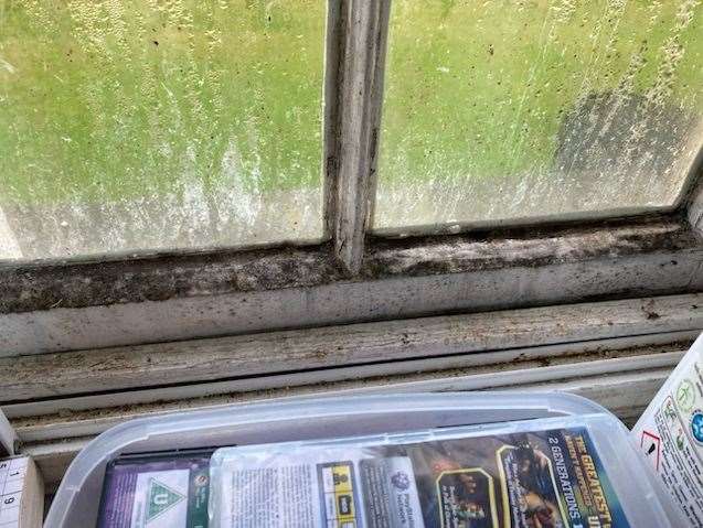 Black mould in a property at Lumbys Terrace