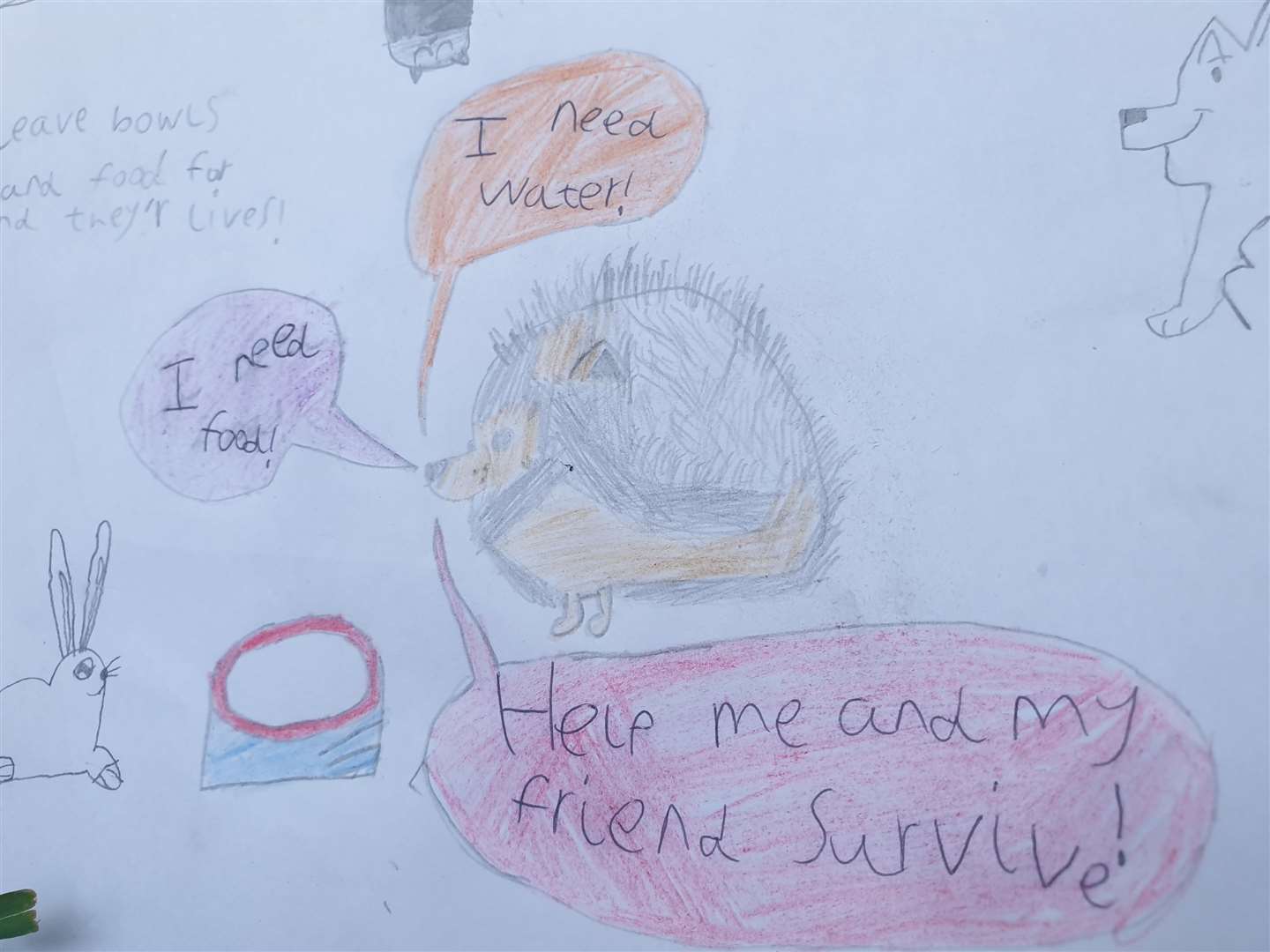 The picture Roxane drew.