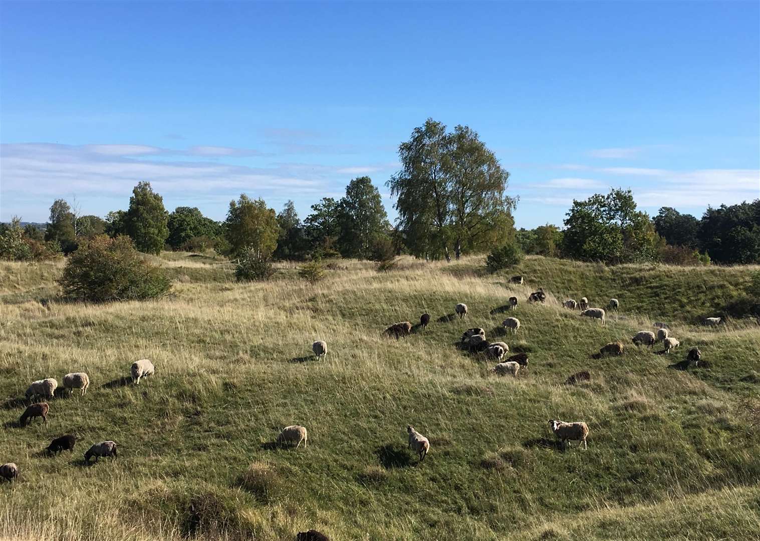 Hills and Holes at Barnack. Photo: Stock image