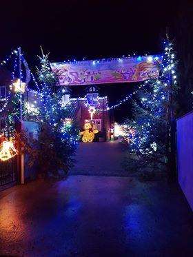 Grinch Christmas lights. (5890634)