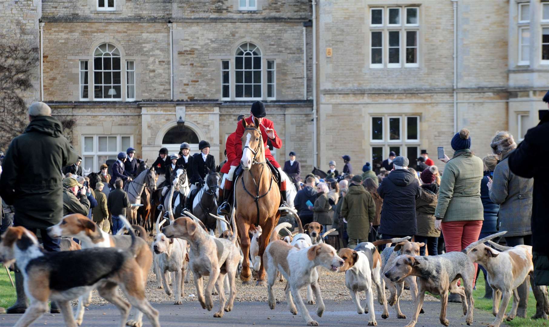 The hounds