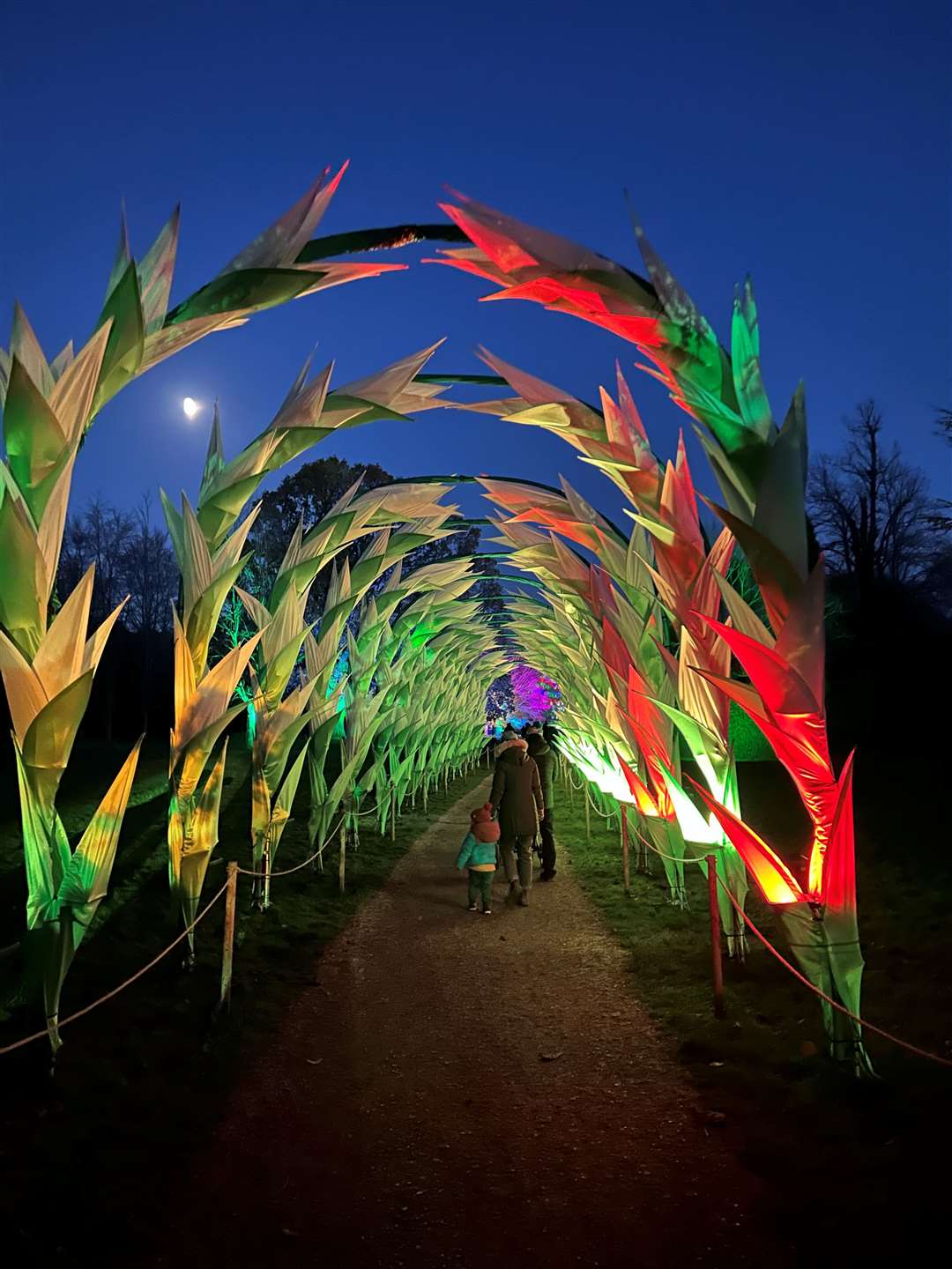 The gladioli tunnel