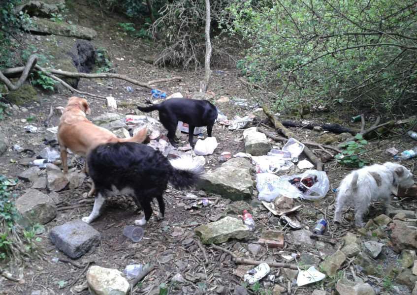 Litter left on the Hills and Hollows