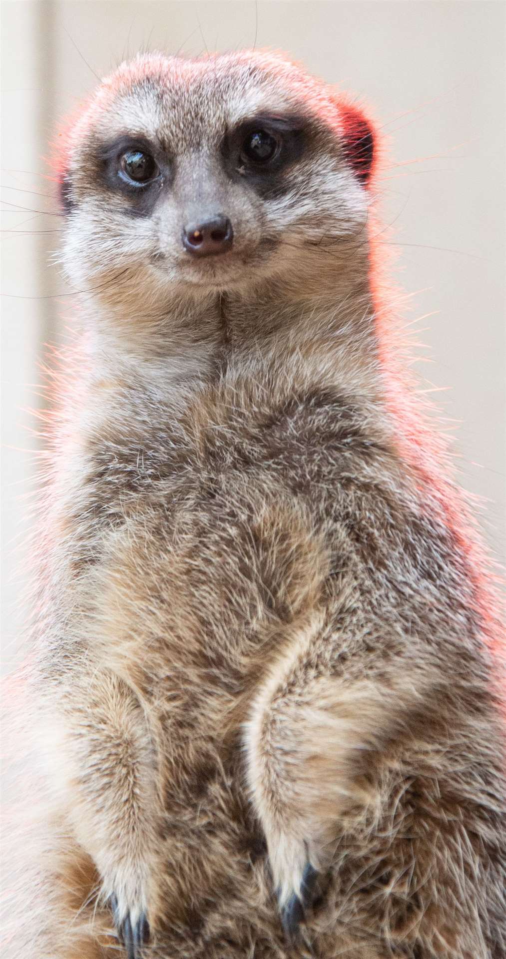 One of the residents
