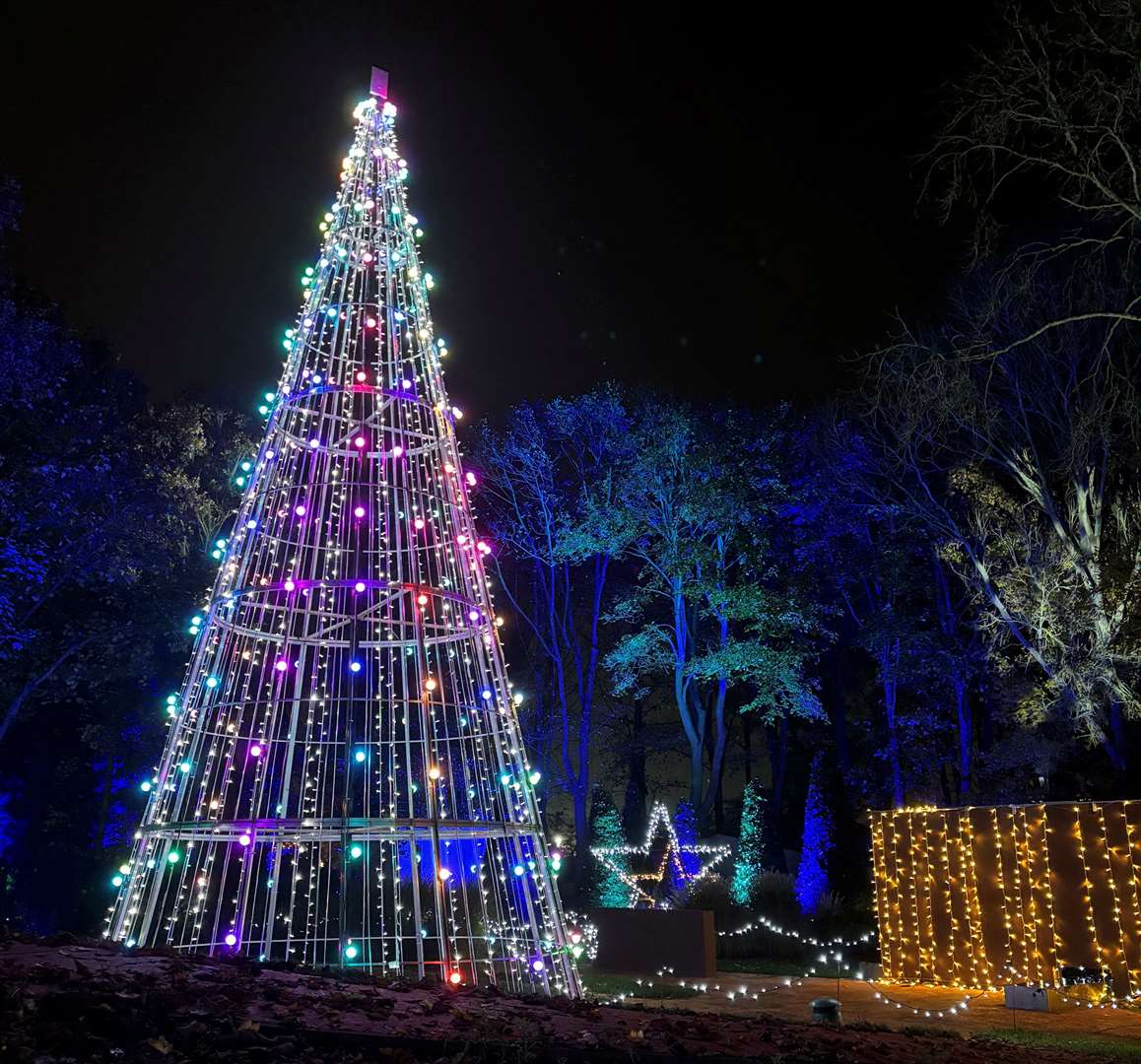 The big Christmas tree has lots of different light patterns to enjoy. Photo: Lorna O'Dwyer