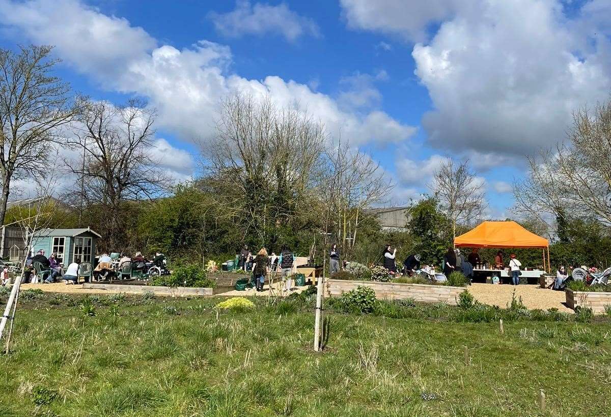 MindSpace Garden at a recent open day