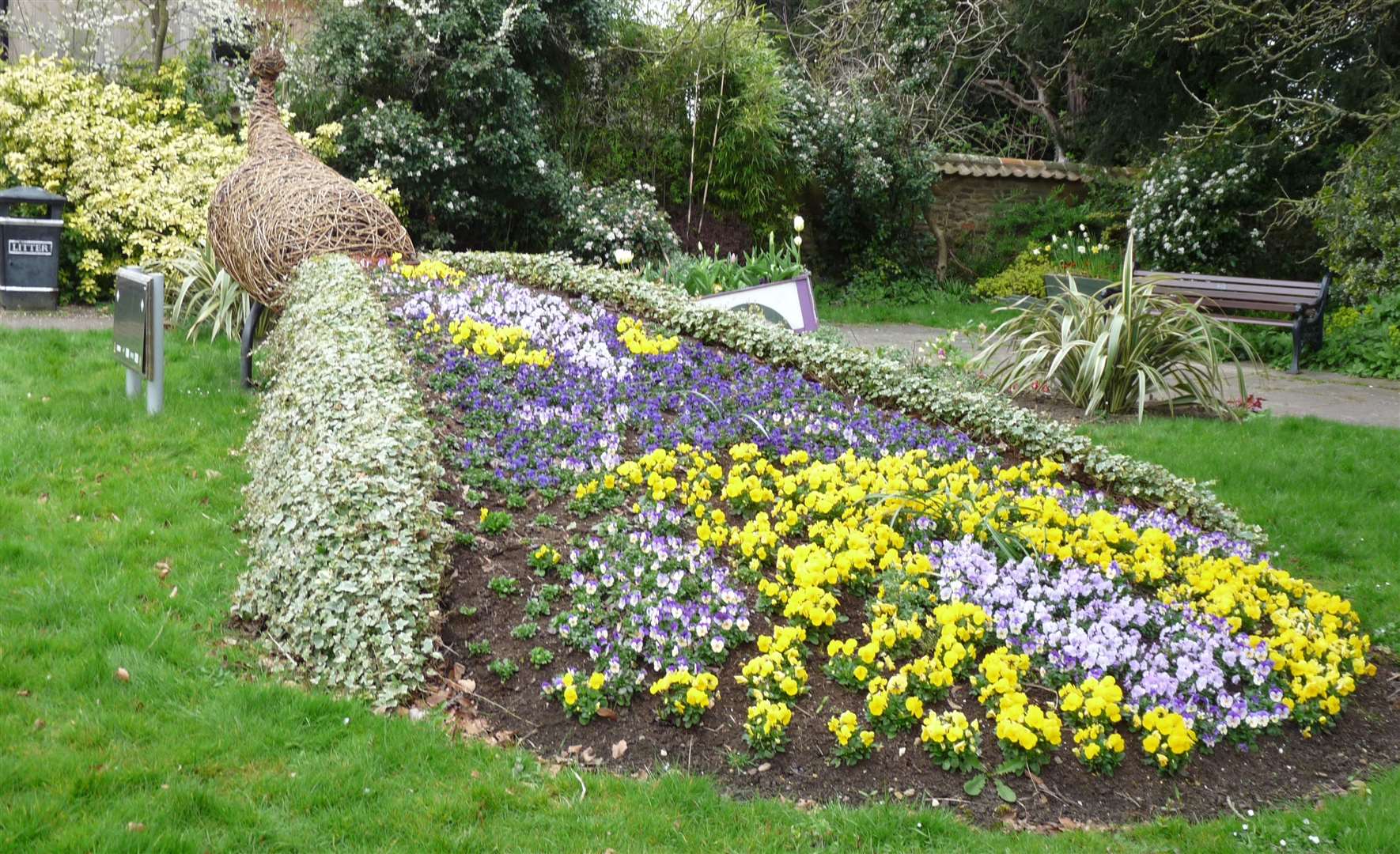 The Oakham in Bloom peacock