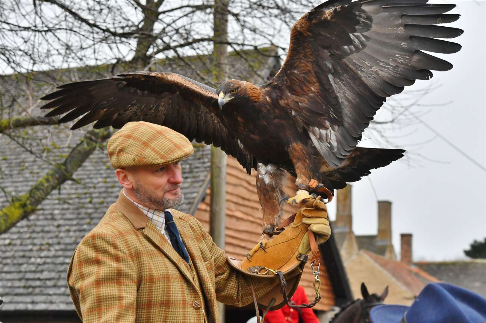 Falconer John Mease with his eagle. Photo: David Lowndes